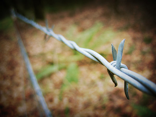 A barbed wire fence near Starvation Creek, on the Oregon side of the Columbia River Gorge