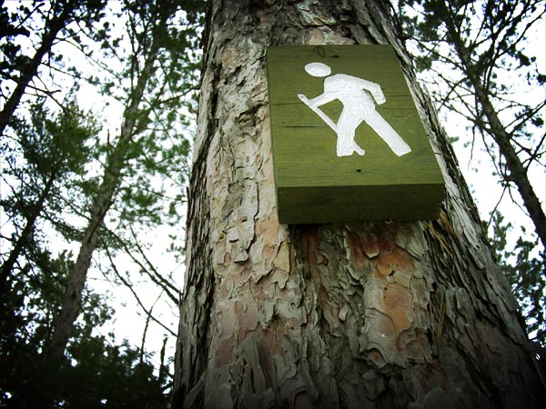 Wanderlust: A lone hiker at Amnicon Falls